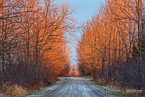 Late Autumn Backroad_02414.jpg - Photographed in sunrise glow near Rocksprings, Ontario, Canada.